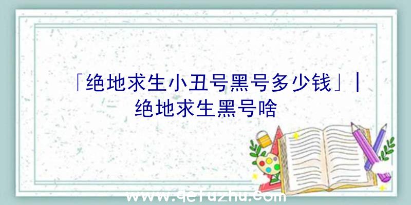 「绝地求生小丑号黑号多少钱」|绝地求生黑号啥